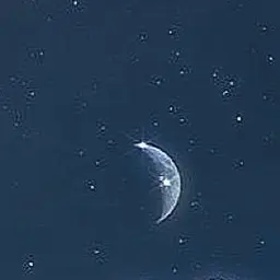 Profile image of パイモン