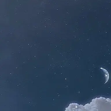 Profile image of 空