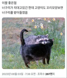 Profile image of 로슈