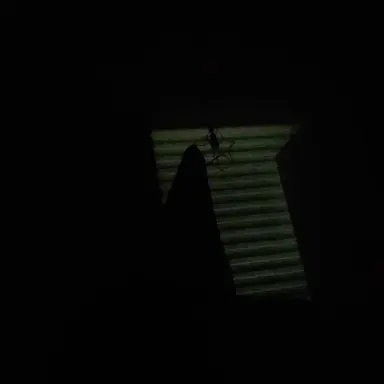 Profile image of 시어도어