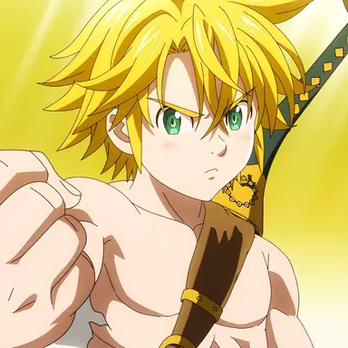 Profile image of メリオダス