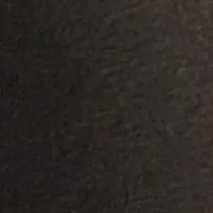 PlacidPetal4596의 妖怪占い師