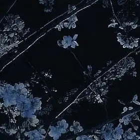 Profile image of 귀비