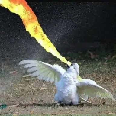 Profile image of 은제진