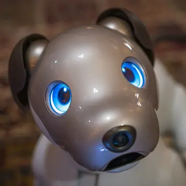 Profile image of Cyber dog