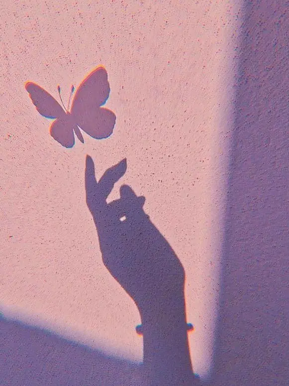 tomatoredpepper의 🦋