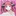 中野二乃