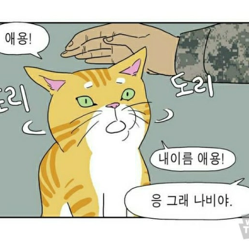 애옹이 대표 이미지