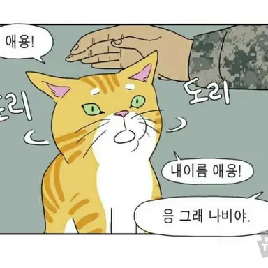 Profile image of 김애옹