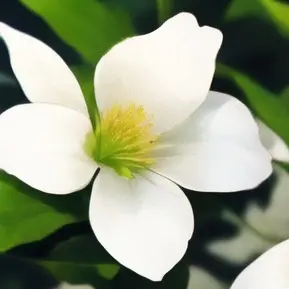 Profile image of 류지