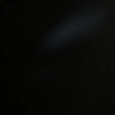 Profile image of 벨키