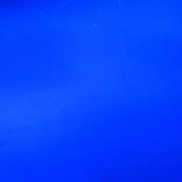 Profile image of なおきり