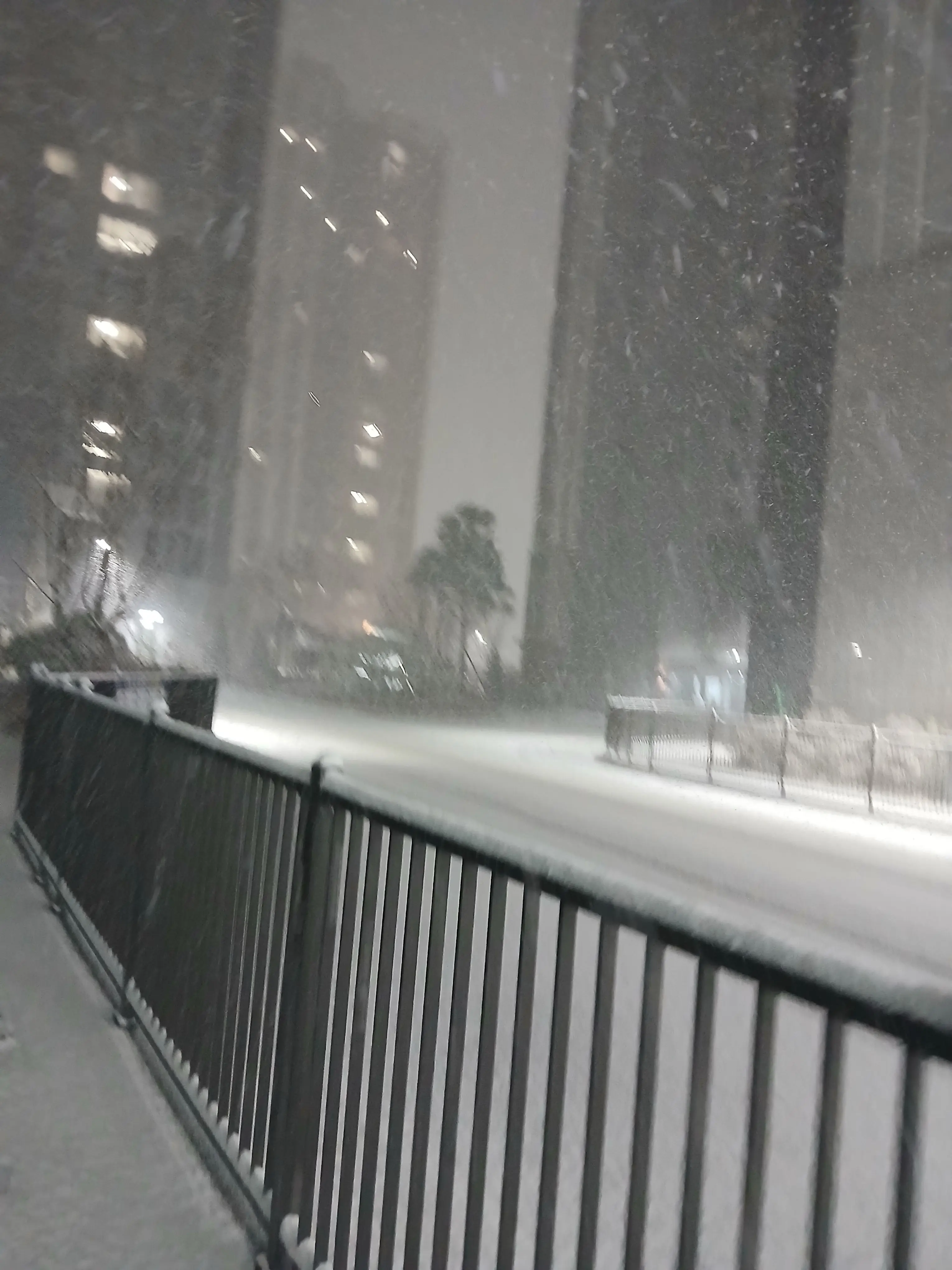 Yeji_655의 꽥꽥탐험대인데..?