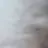 김동현