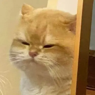 Profile image of 정우영