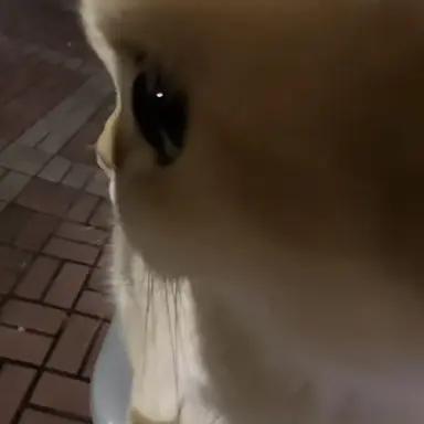 Profile image of 선생님