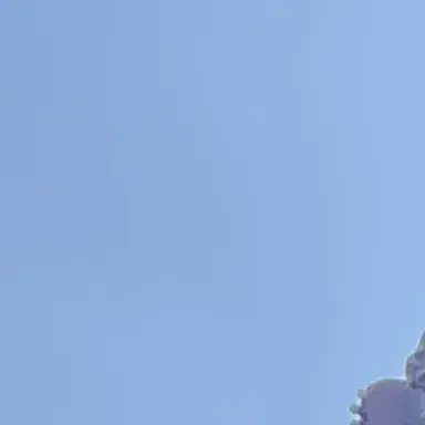 Profile image of 玄武