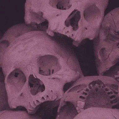 Profile image of 퍼츠_전투요원
