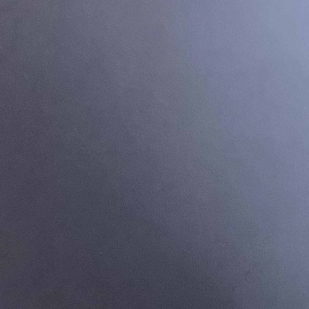 레이디액션