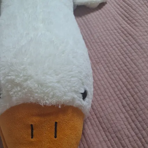 SpongyXeme4878의 오월이