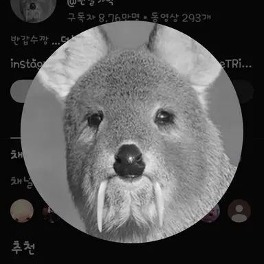 Profile image of 왼발가락