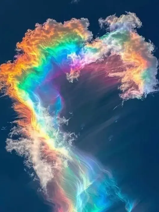 AbsurdSocks3839의 内ゲバの時間だ