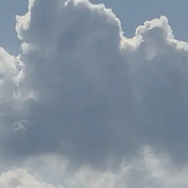 Profile image of 優吾