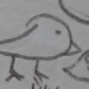 Profile image of 뽀찌