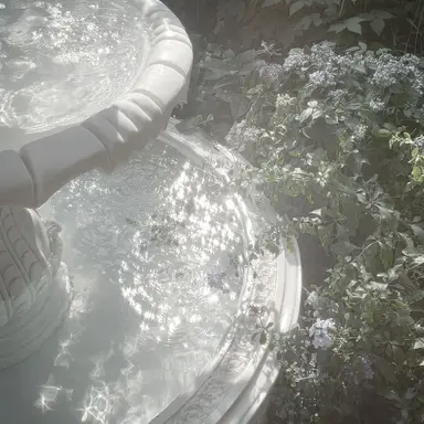 Profile image of 릴리스