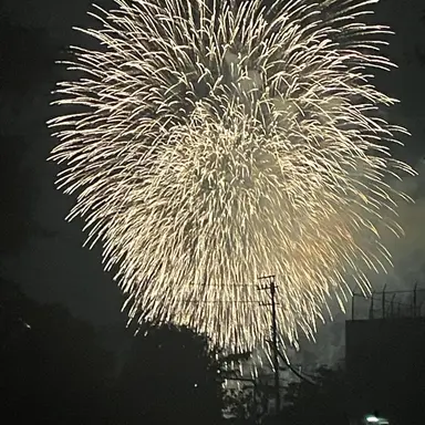 Profile image of 알프레드