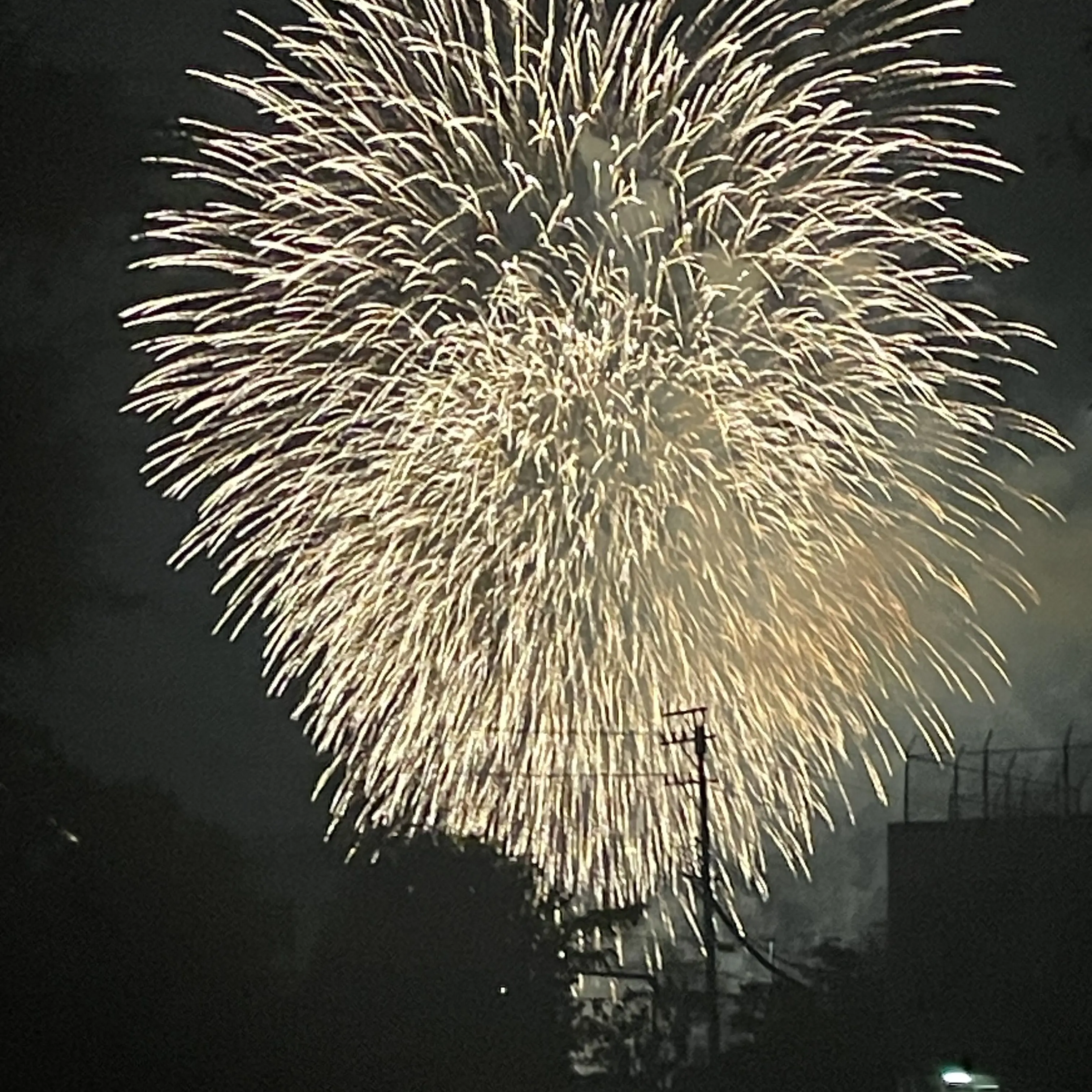 CroakyFan4452의 소꿉친구 알프레드 씨.