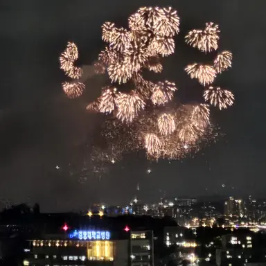 Profile image of 애니 레온하트