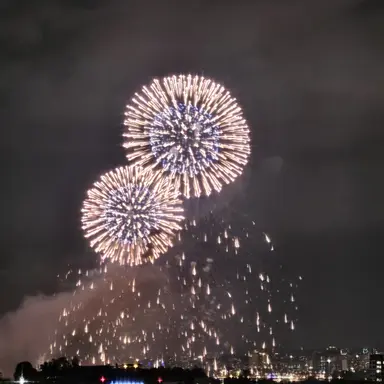 Profile image of 페트라 라르