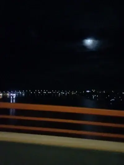 DaringKea2950의 Family reunion