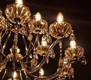 Profile image of Elara