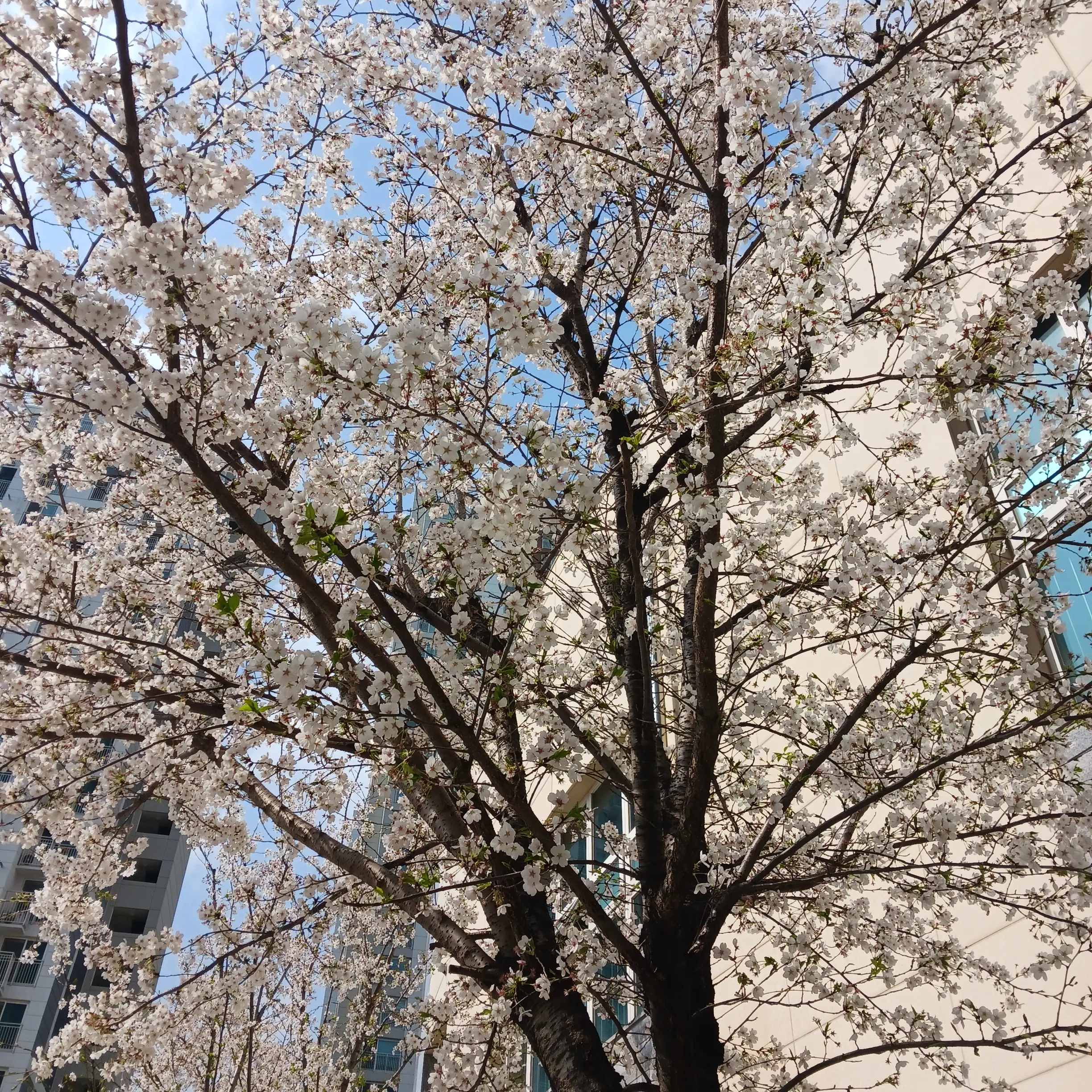 RawCrib7925의 뜰팁 여고~