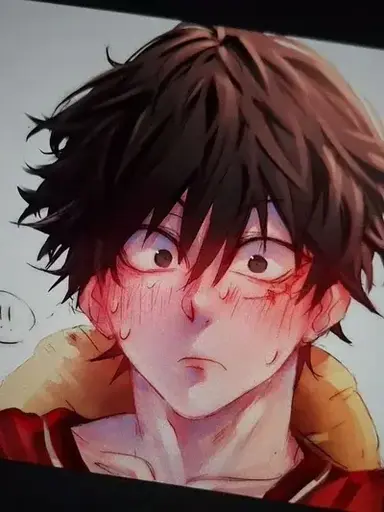 Profile image of Luffy