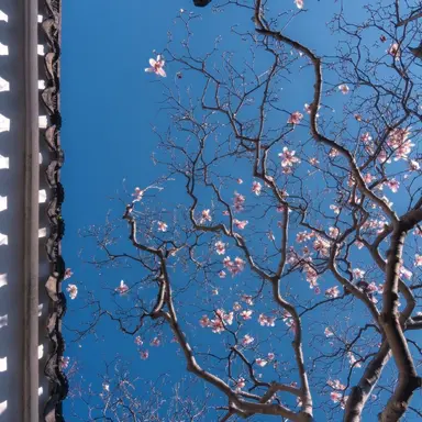 Profile image of 김민정