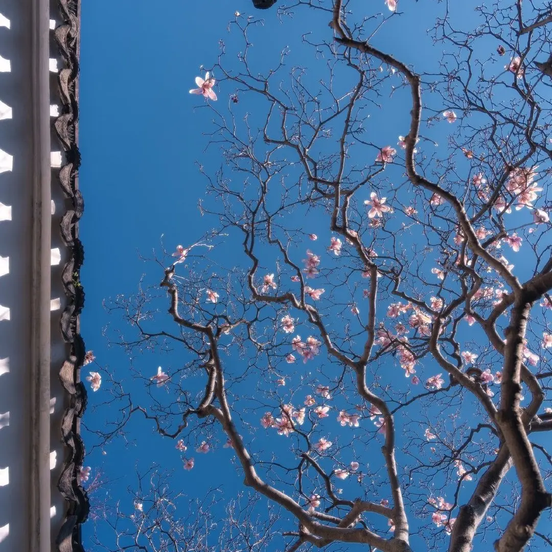 Drama_0910의 김민정