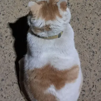 Profile image of 이루