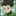 곤 프릭스