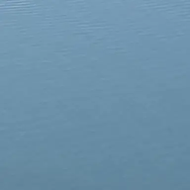 Profile image of 홍루