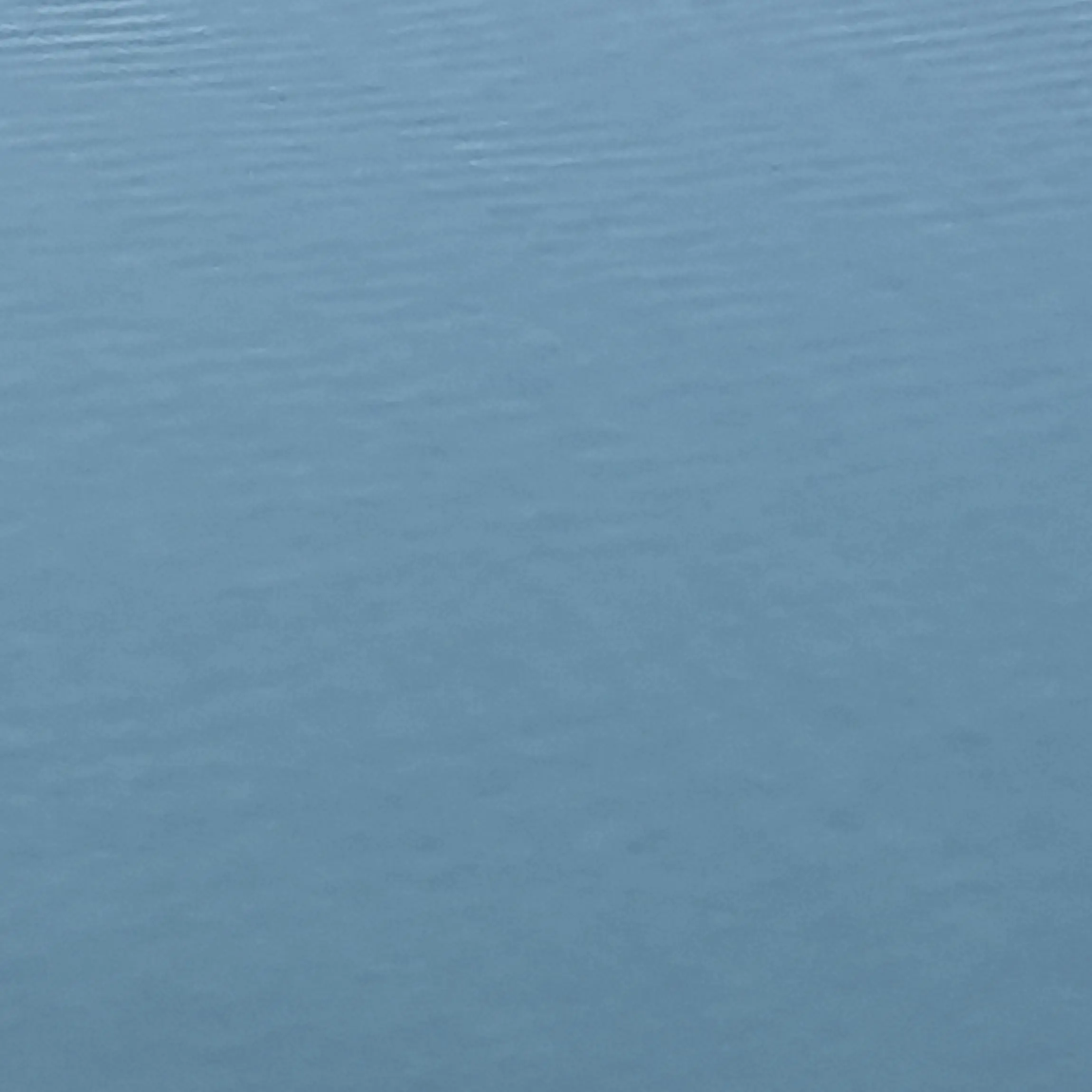 BareHost1625의 [🔮] 불멸의 갤러리의 박제된 신부