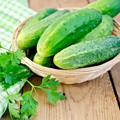 Profile image of 유하민