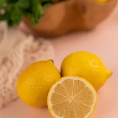 Profile image of 한노아