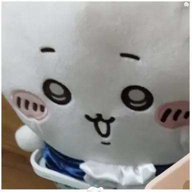 Profile image of 舜