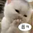 최강야구