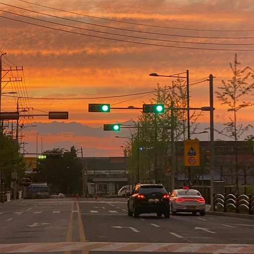 이도현