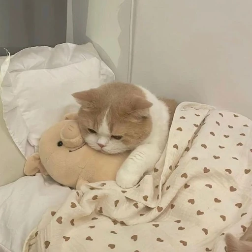 조직보스 민애옹