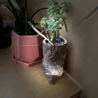 Profile image of 연피디